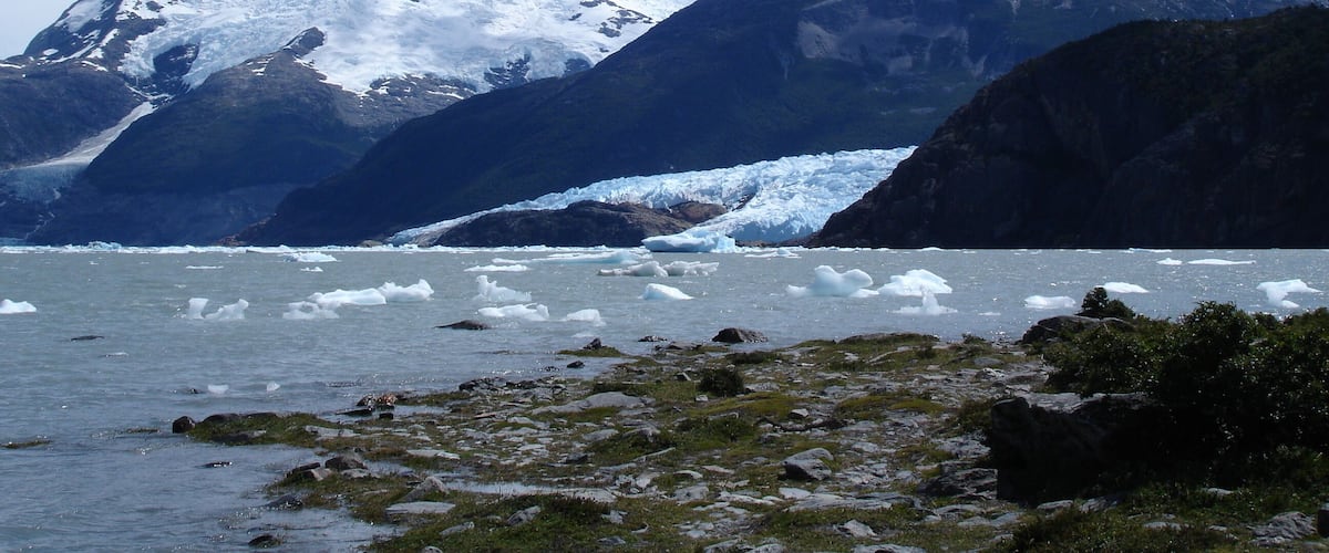 #Patagonia #Argentina #glacier #Onelli #GreatOutdoors
#Patagonia #Argentina #glacier #Onelli #GreatOutdoors
A Bahia Onelli é onde desembocam o glaciar Onelli, o Agassiz e Bolado. Fica no Parque Nacional Los Glaciares na Patagônia Argentina. Visitei a parte do parque que fica perto da cidade de El Calafate. Os principais glaciares nesta parte sâo o Perito Moreno, o Upsala, o Spegazzini e o Onelli. A altura dos glaciares vai de 30-60m no caso do Perito Moreno, 80-135m para o Spegazzini e de 60-80m para o Upsala. .
Sem a originalidade de Yuri Gagarin, me atrevo a dizer ... os glaciares são azuis !
Bahia Onelli is where the Onelli, Agassiz and Bolado glaciers flow. It is in the Los Glaciares National Park in Patagonia Argentina. I visited the part of the park that is near the city of El Calafate. The main glaciers in this part are Perito Moreno, Upsala, Spegazzini and Onelli. The height of the glaciers goes from 30-60m in the case of Perito Moreno, 80-135m for Spegazzini and 60-80m for Upsala. .
Without the originality of Yuri Gagarin, I dare say ... the glaciers are blue!