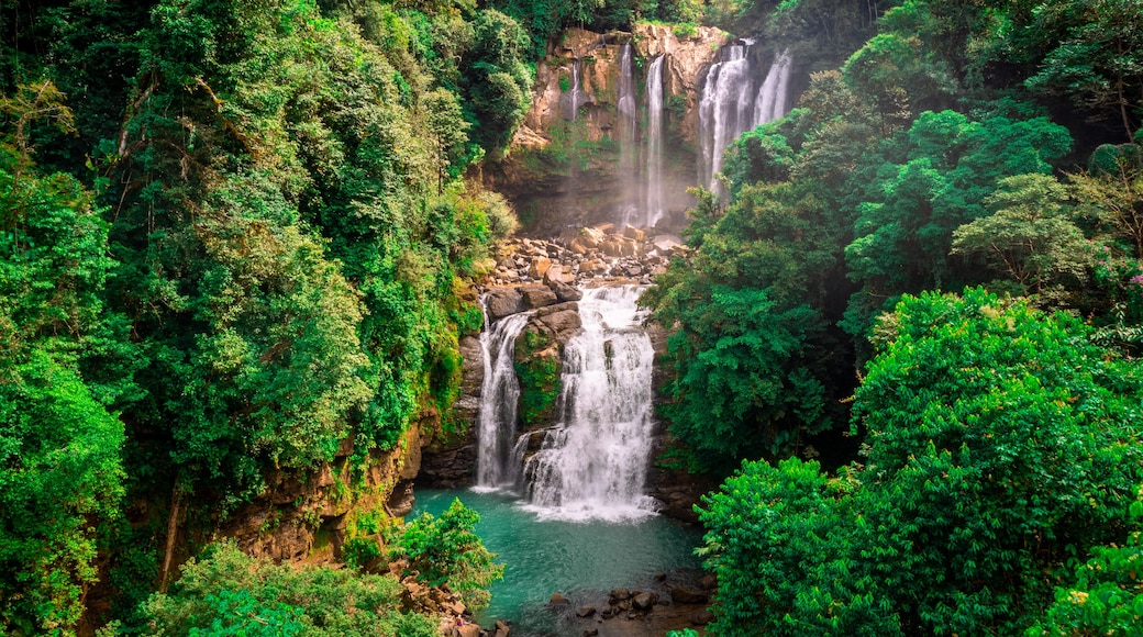 Une cascade à plusieurs niveaux, entourée d’une forêt verdoyante et luxuriante.