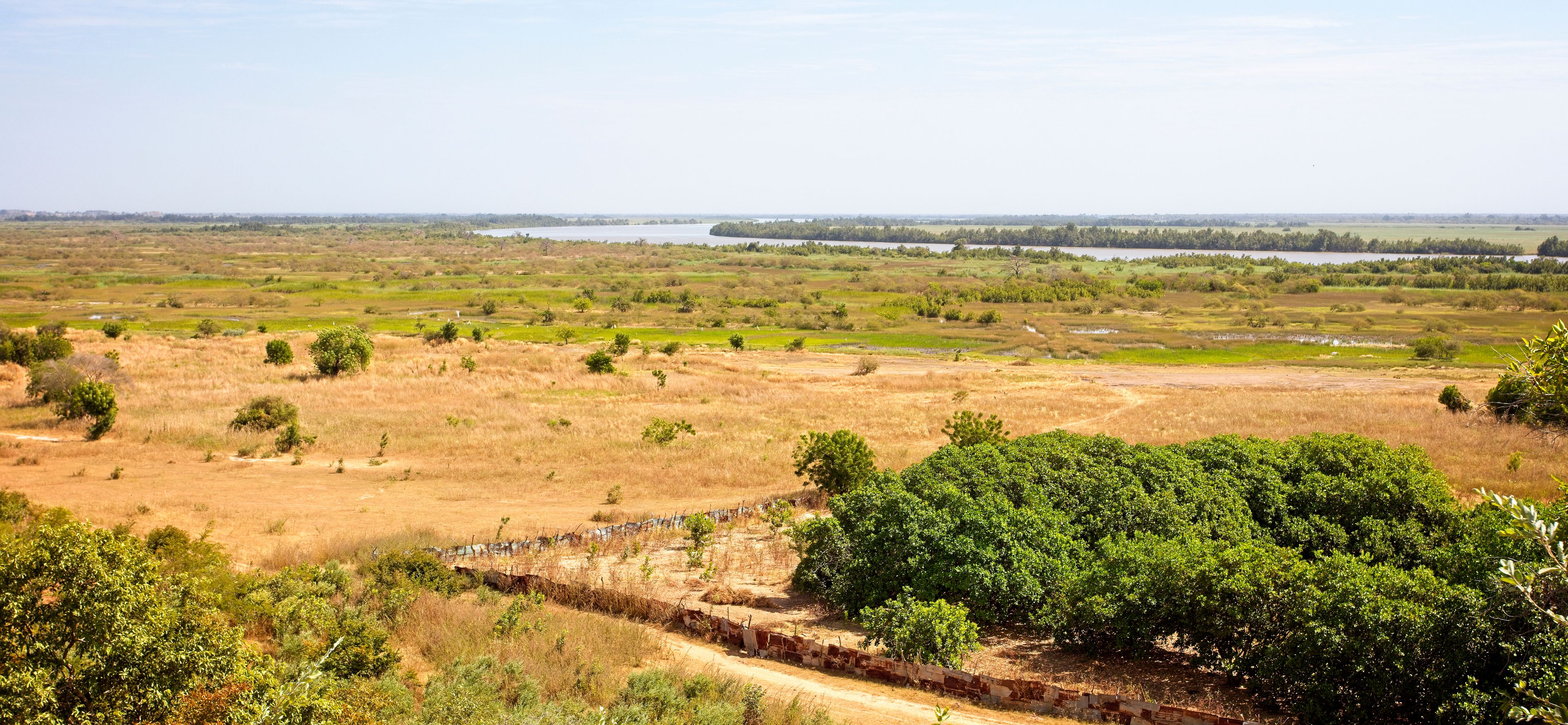 Un vaste paysage avec une rivière à l’horizon, un chemin de terre et un feuillage vert et dense au premier plan.