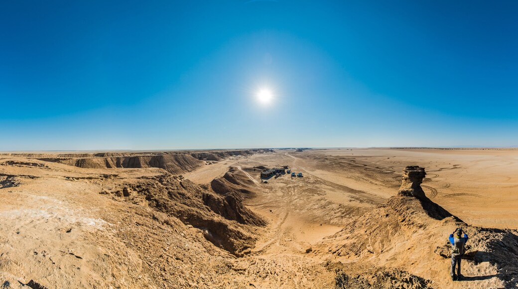 Camel Neck in Tunisia