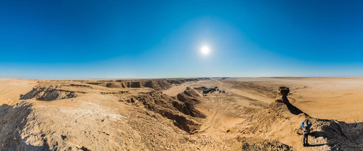 Camel Neck in Tunisia