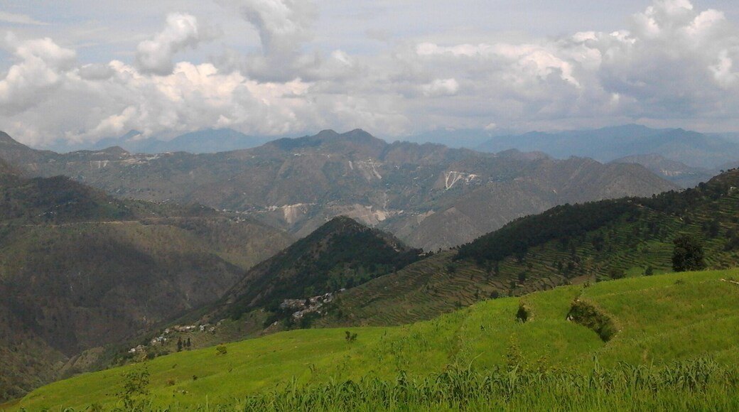 Bainji Kandai, Dashjula, Rudraprayag
#nature, #hillstation, #rudraprayag