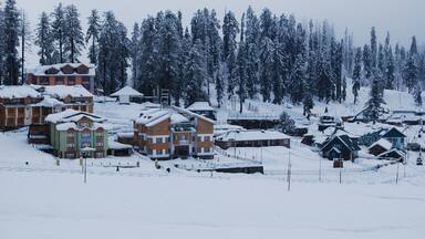 A snow-covered village with buildings and tall pine trees.