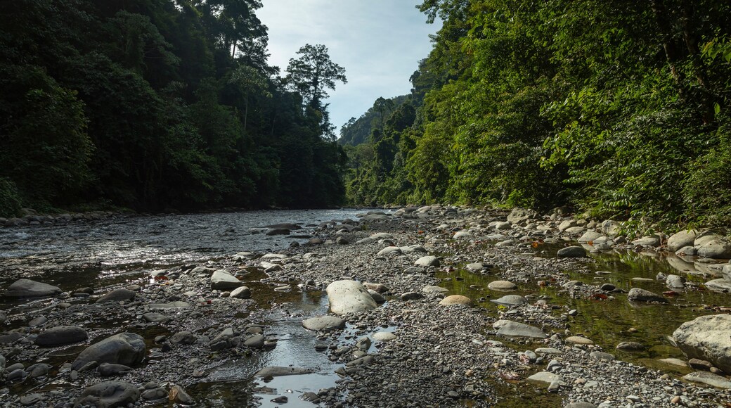 The Bohorok River, with its fresh water stream, and the surrounding tropical jungle, in Gunung Leuser National Park, North Sumatra, Indonesia