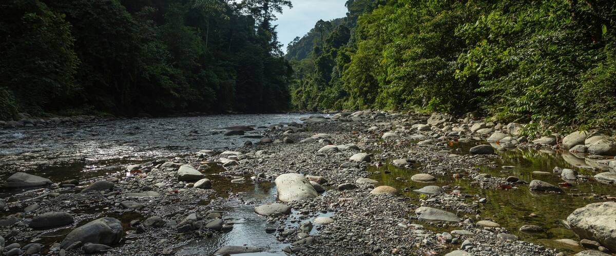 The Bohorok River, with its fresh water stream, and the surrounding tropical jungle, in Gunung Leuser National Park, North Sumatra, Indonesia