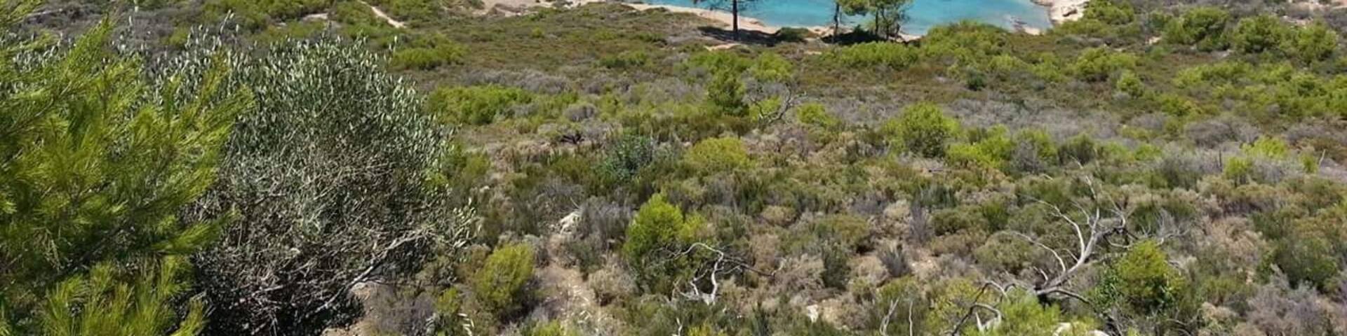 The perfect cove with no one around, a hand full of peaceful sailboats, and 20 feet of water to explore. Arrive by four wheeler. You can rent it near where you get off the ferry. Bring a lunch and relax!