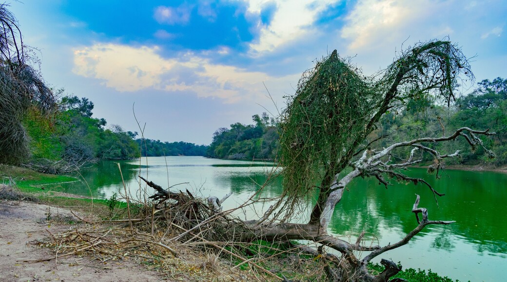 Departamento Pirané