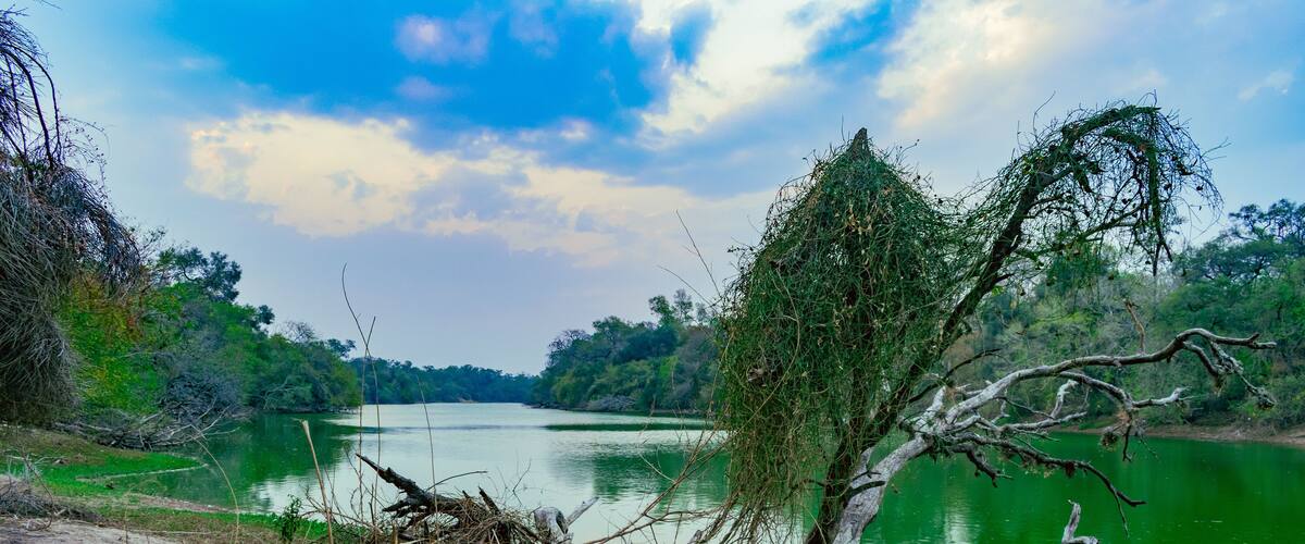 lago verde, lago el salado en el litoral chaqueño