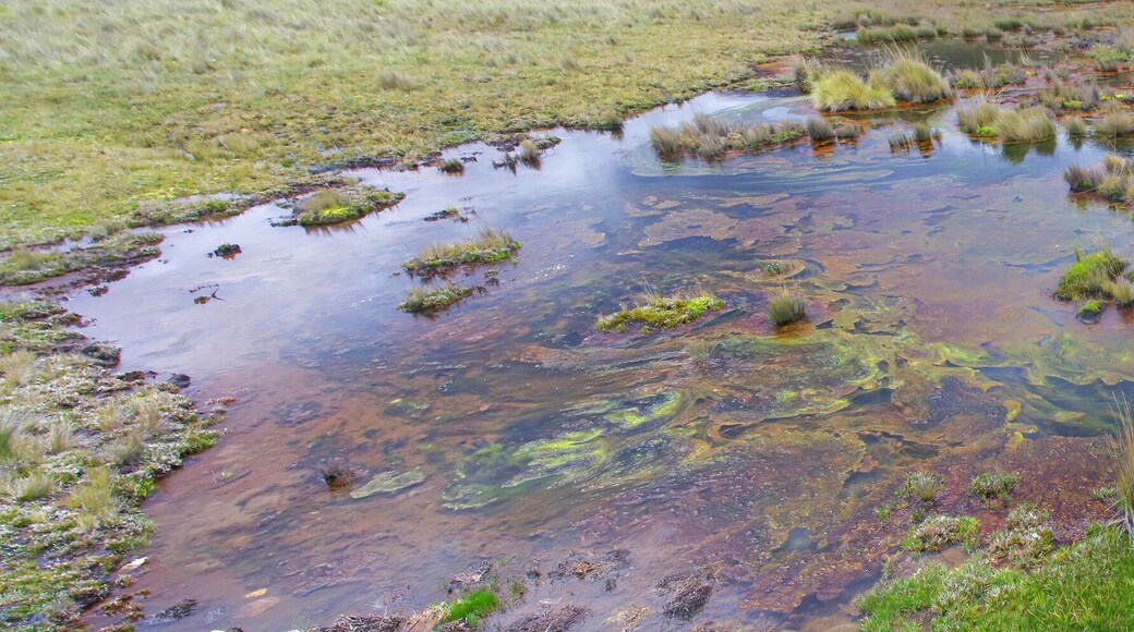 Province de Pomabamba