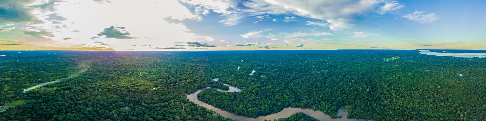 Morning in the Amazon Rainforest
