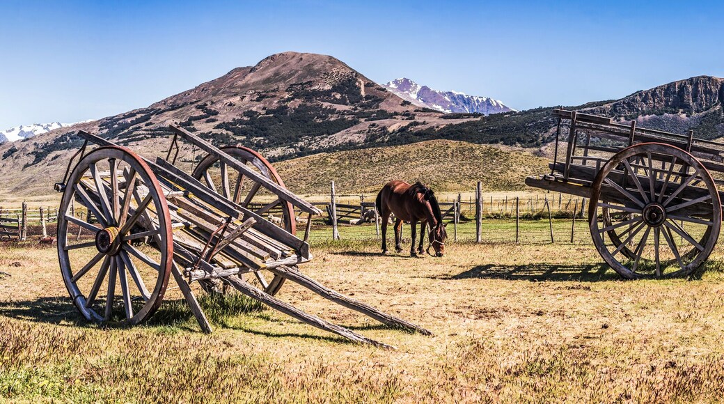 Partido de Las Flores