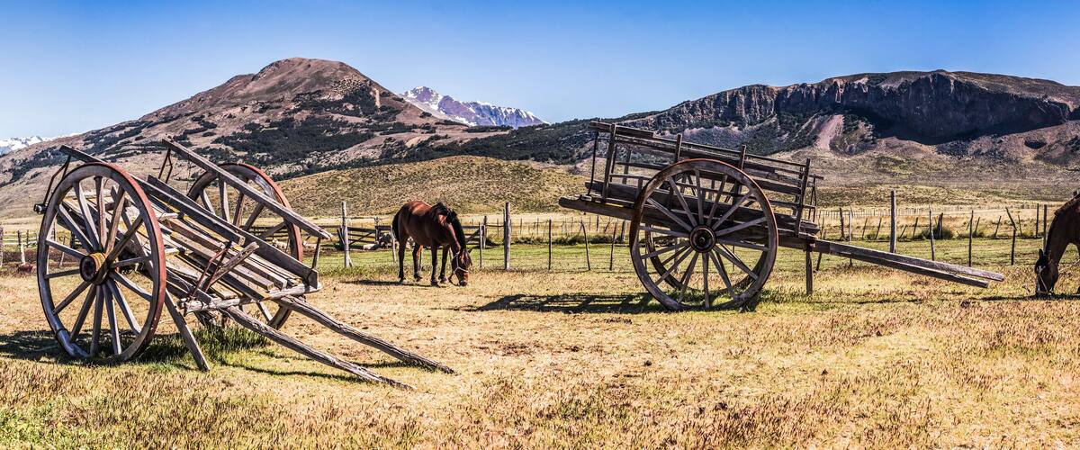Horses on the farm at Estancia La Oriental, Perito Moreno National Park, Santa Cruz Province, Patagonia, Argentina, South America