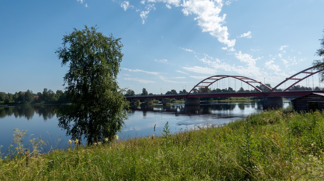 Municipio de Ljusdal