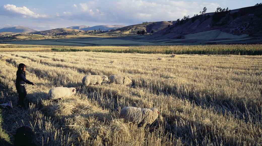 Provincia de Tayacaja