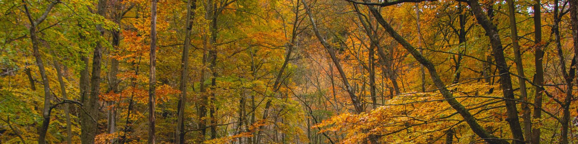 National park autumn 8