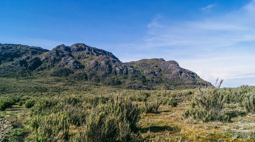 Cantón de San Isidro