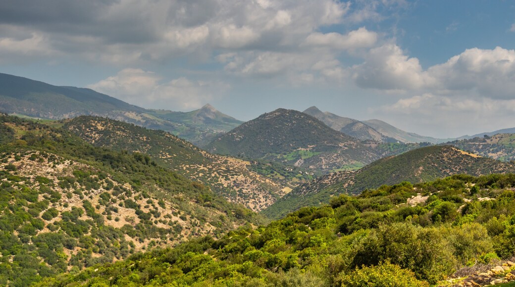 Majestic Mountains of Ain Soltane, Jendouba, Tunisia.
