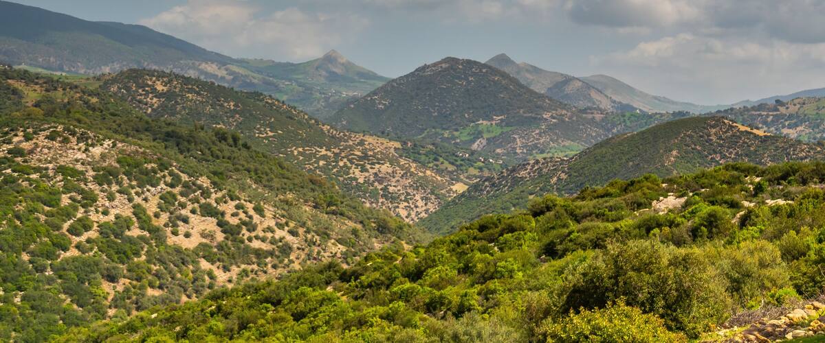Majestic Mountains of Ain Soltane, Jendouba, Tunisia.