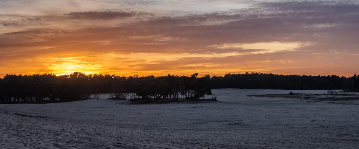 A snowy landscape with a sunset over a forested area.