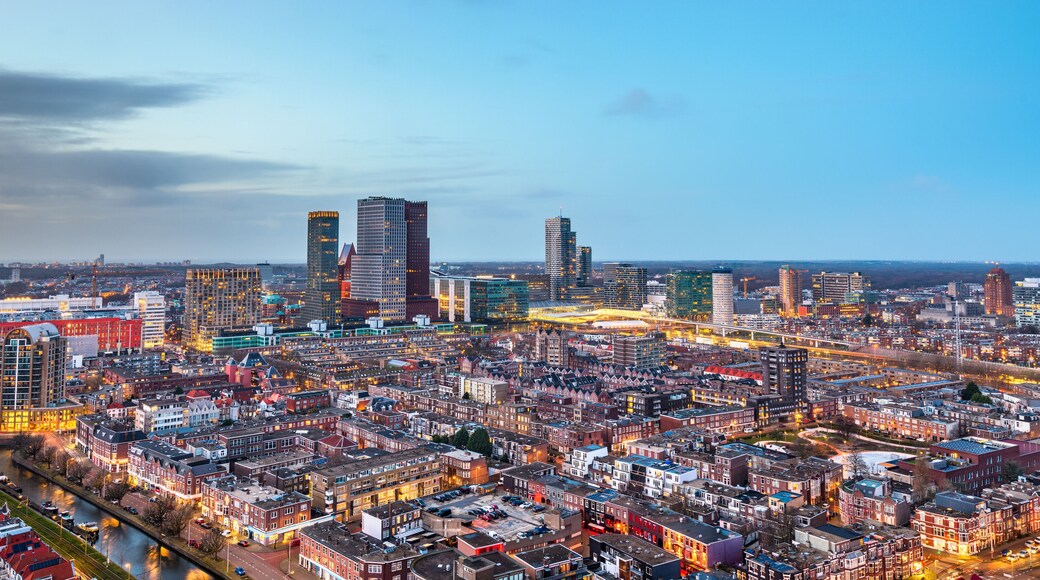 Municipio de La Haya