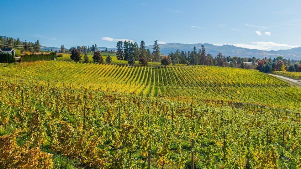 Regional District of Central Okanagan featuring farmland