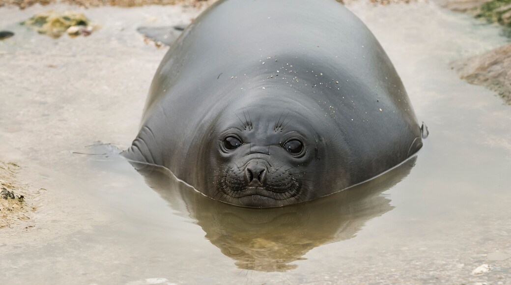 Département de Rawson