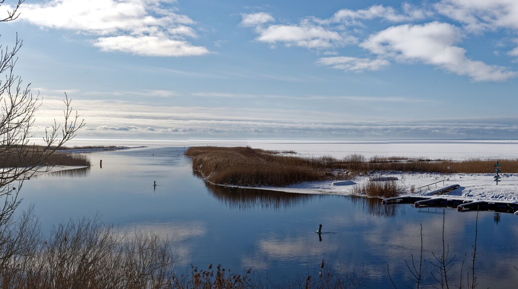 Start of the river Emajõgi from lake Võrtsjärv