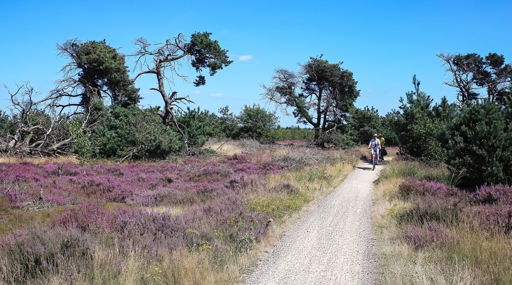 Commune de Geldrop-Mierlo