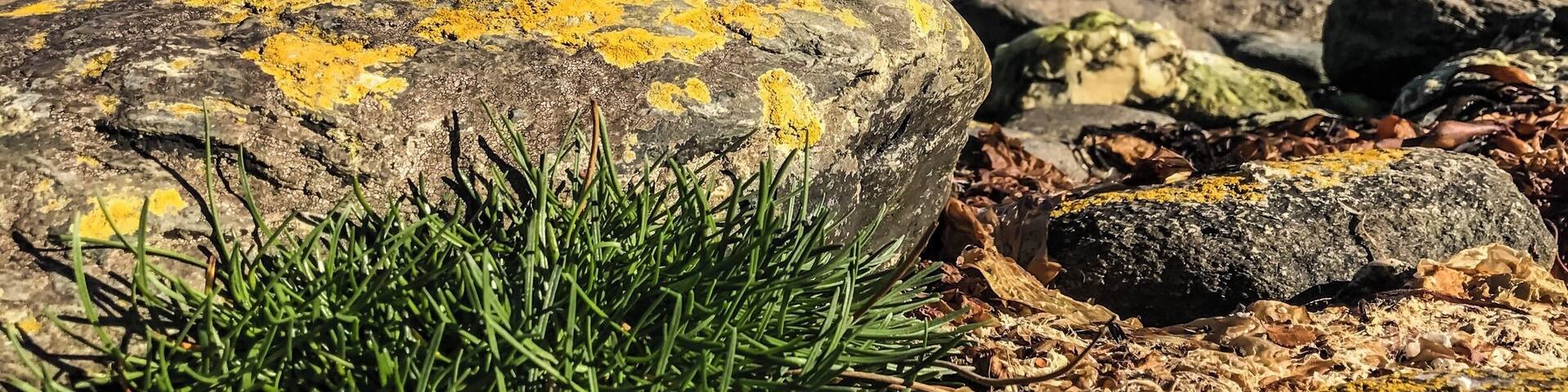Theres no specific borders of Chile/Argentina that exists as such at this far end of Tierra Del Fuego. How confusing can it get to understand that the forest area of that mountain in front, namely the Condor mountain is part of Argentina and the rest is Chile. 😆 I guess the hikers can easily get confused and land up in any one. 😂 Well the Darwins(snow capped ones) stands distinctively on the other side in Chile! 😁 #ushuaia #atworldsend