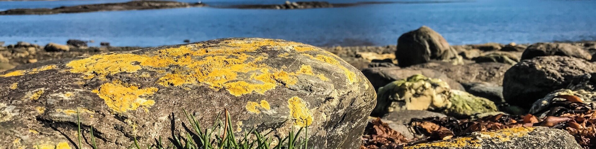 Theres no specific borders of Chile/Argentina that exists as such at this far end of Tierra Del Fuego. How confusing can it get to understand that the forest area of that mountain in front, namely the Condor mountain is part of Argentina and the rest is Chile. 😆 I guess the hikers can easily get confused and land up in any one. 😂 Well the Darwins(snow capped ones) stands distinctively on the other side in Chile! 😁 #ushuaia #atworldsend