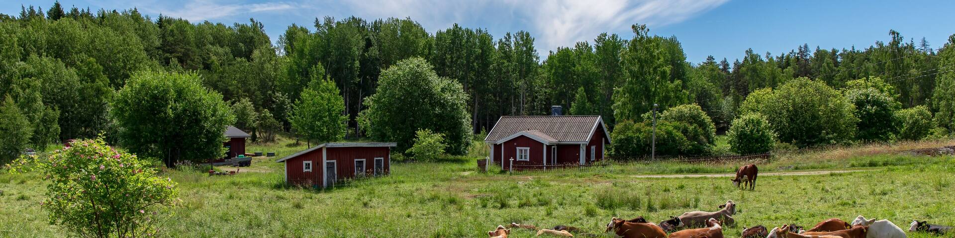 Farm of Själö Island
