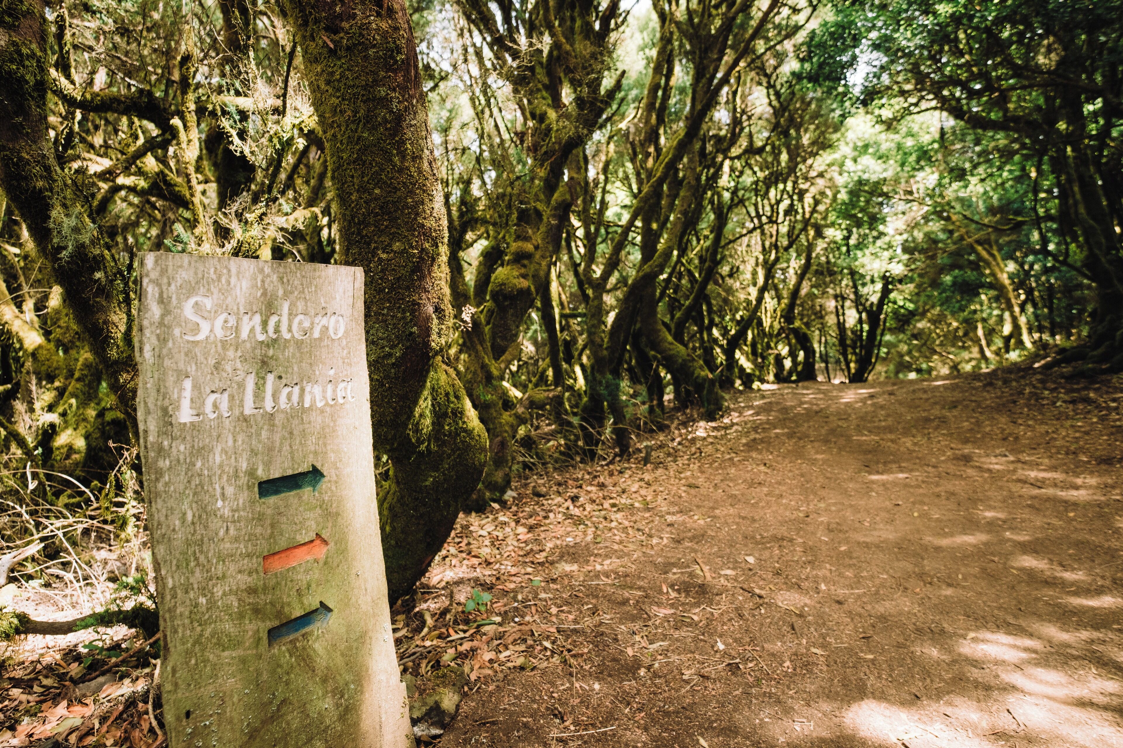 Mirador de La Llanía