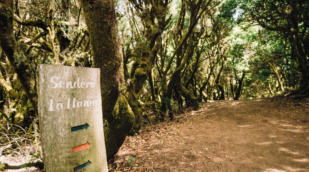 EyeEm Custom Shoots Q4 2018