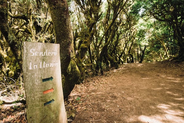 A wooden sign with 'Sendero La Llana' written on it, surrounded by a forested area with a dirt path.