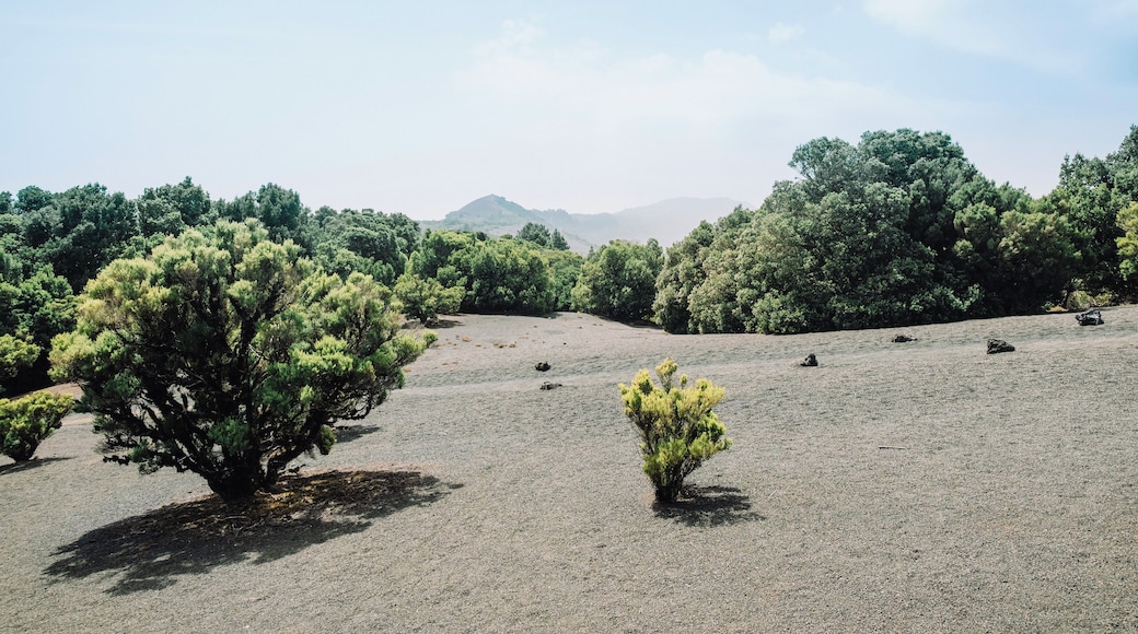 EyeEm Custom Shoots Q4 2018