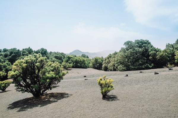 EyeEm Custom Shoots Q4 2018