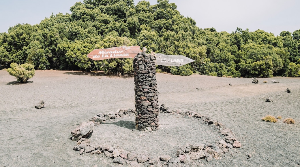 EyeEm Custom Shoots Q4 2018