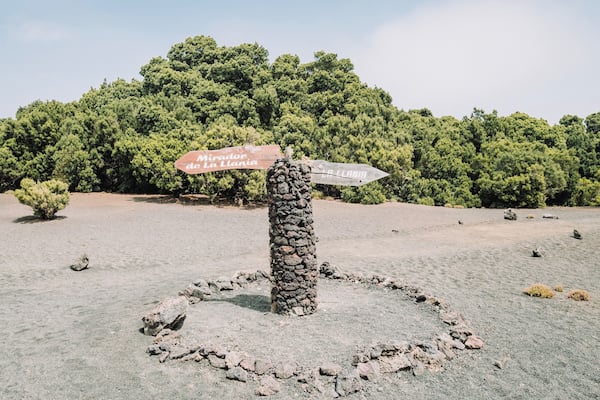 EyeEm Custom Shoots Q4 2018