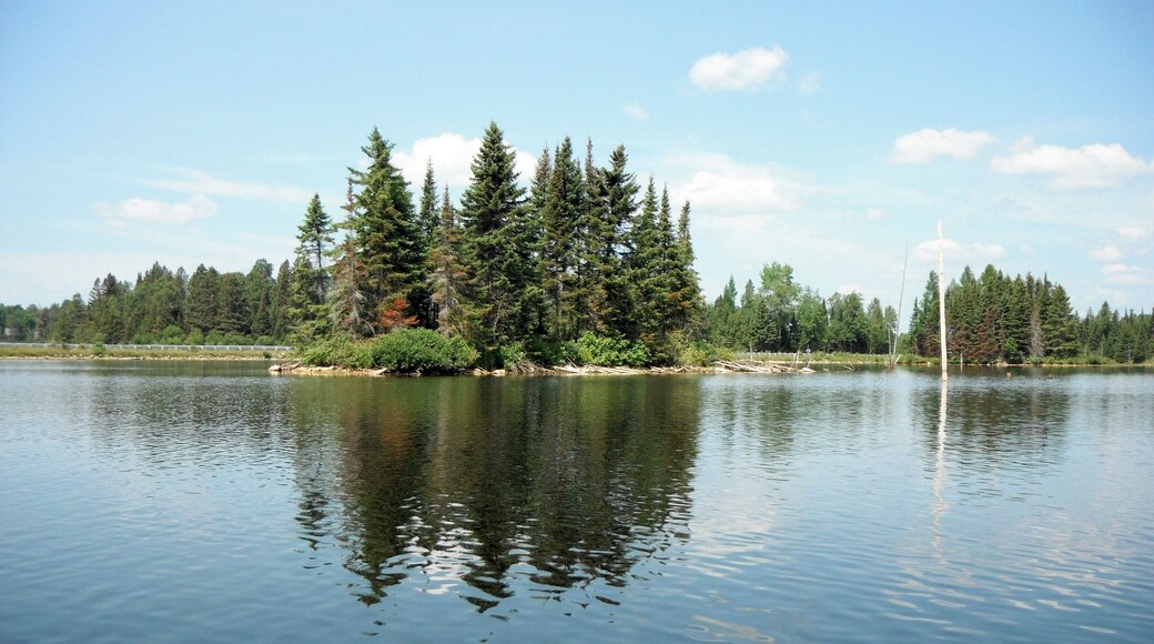 Found a cute island while paddling Stromberg.