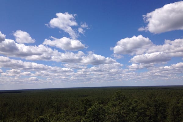 A landscape with a clear blue sky and scattered clouds over a dense forest.