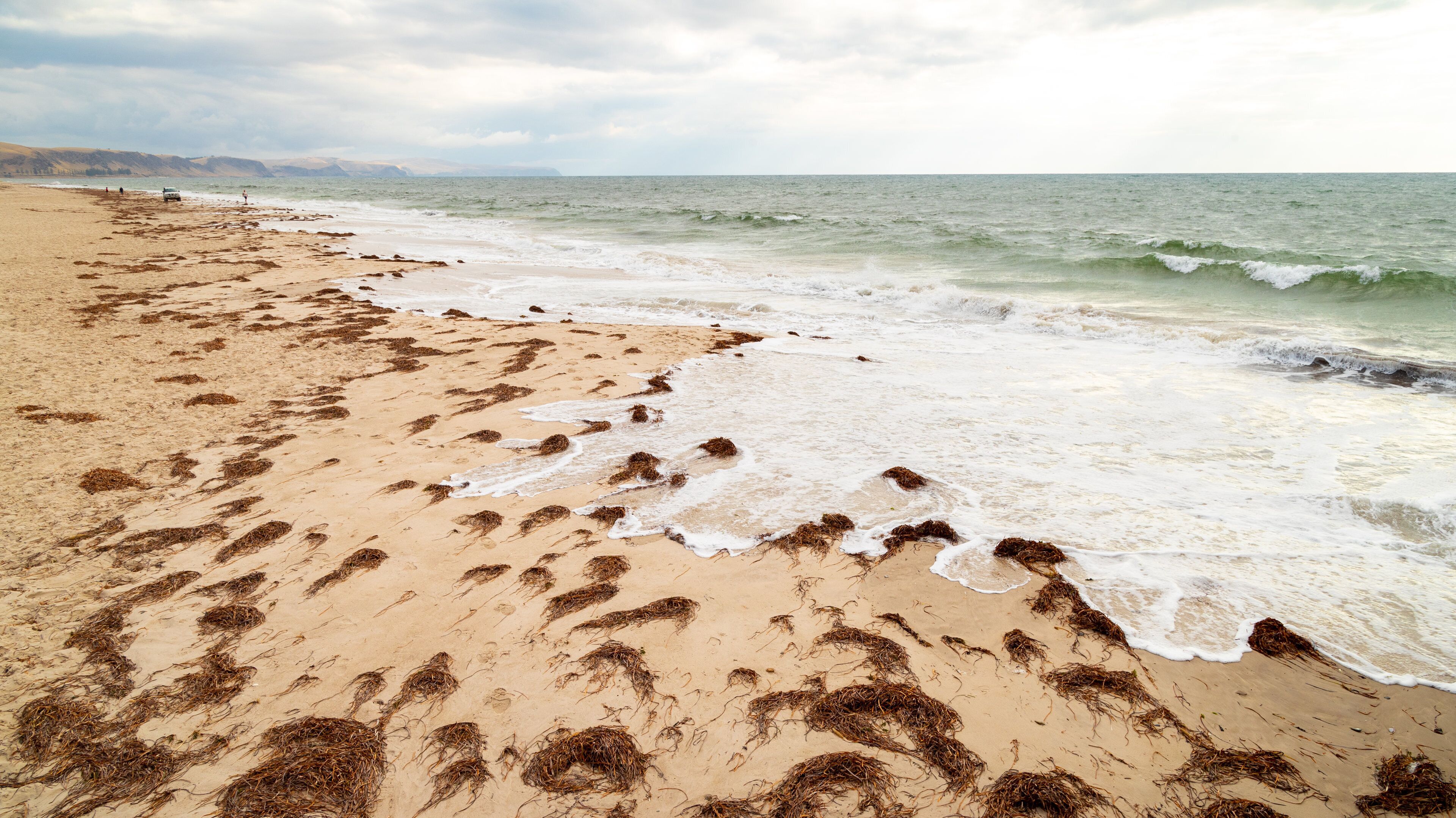 Normanville Beach which includes general coastal views and a sandy beach