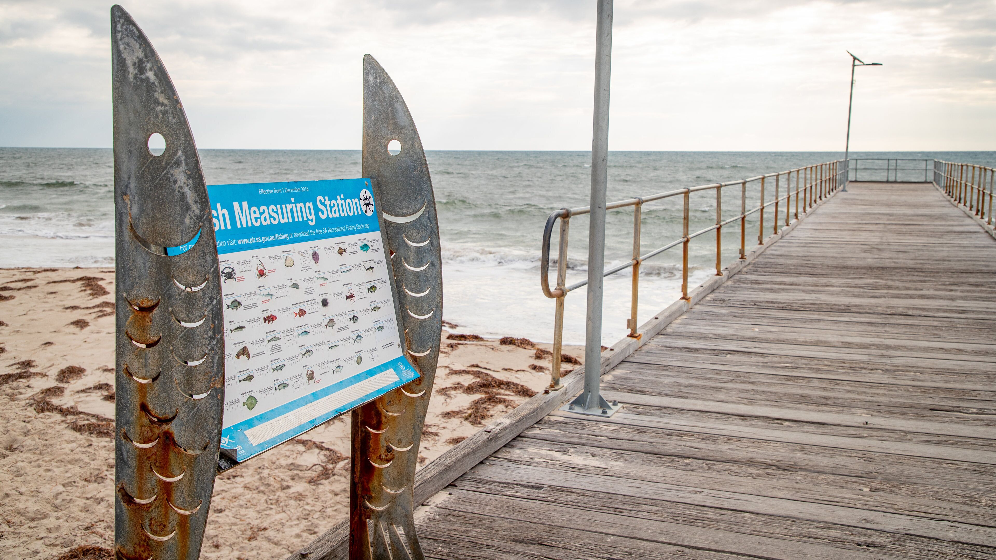 Normanville Beach featuring signage, general coastal views and a bridge