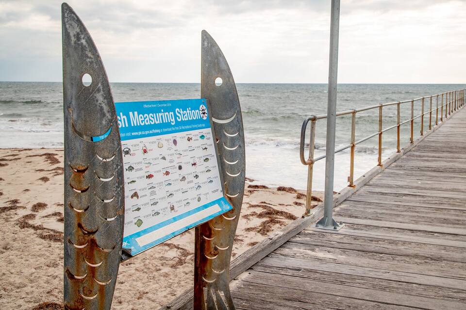 A fish measuring station on a wooden pier with a signboard and a view of the ocean.