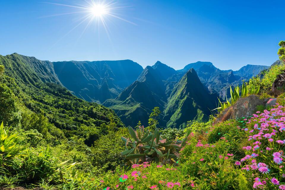Paisagem montanhosa com vegetação exuberante e flores cor-de-rosa.