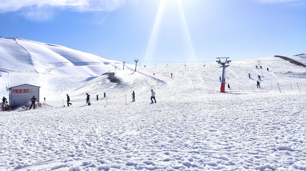 Yedikuyulars skidort