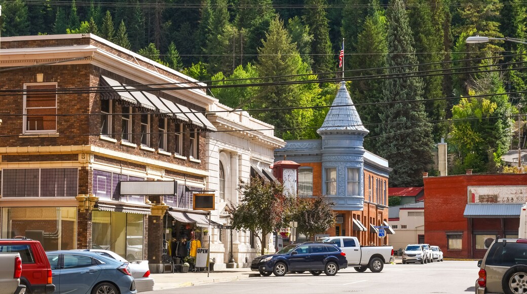 The Center of the Universe