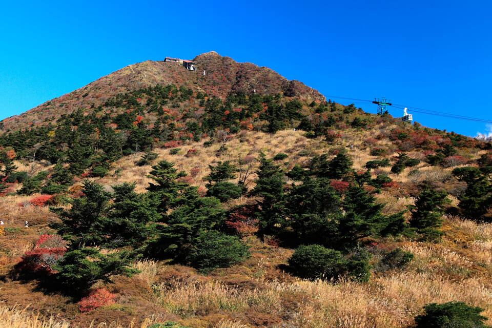 A mountain with autumn foliage, a cabin, and power lines.