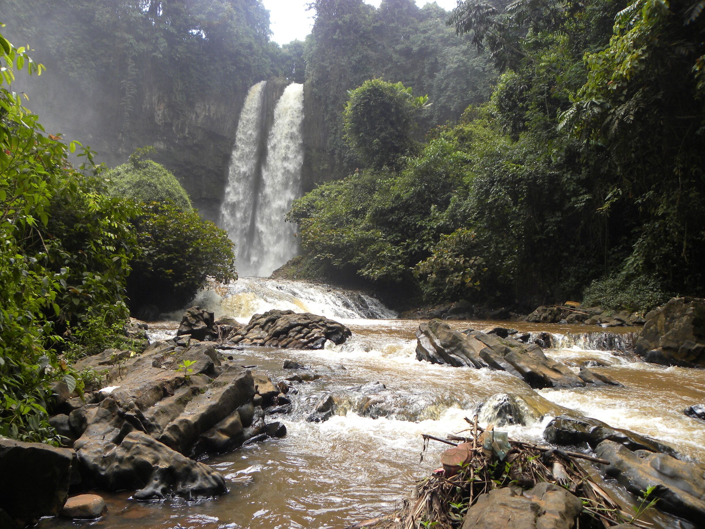 A waterfall cascading into a river surrounded by dense forest.