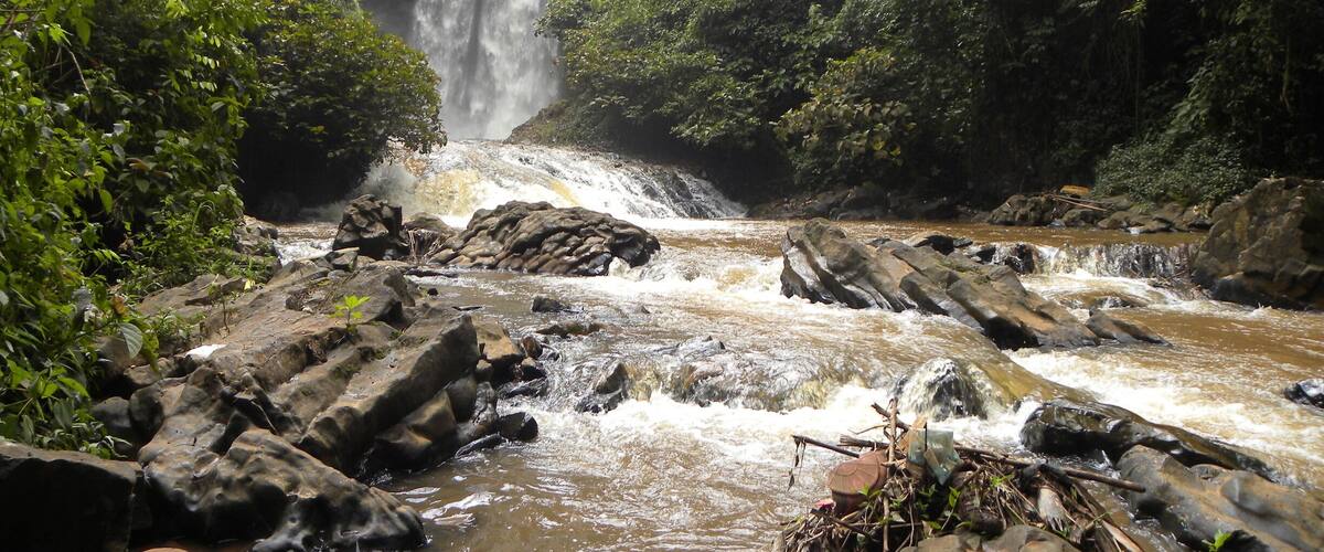 A waterfall cascading into a river surrounded by dense forest.