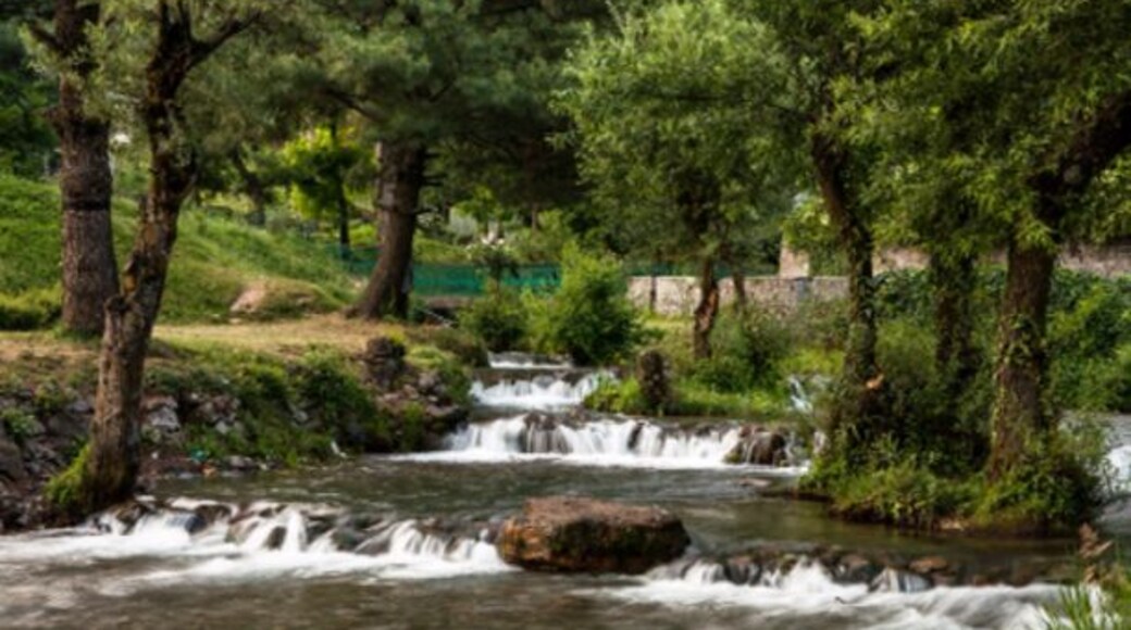 Kokernag Botanical Garden developed by the J&K Tourism department, it is the biggest garden in Kashmir.
http://sandeepachetan.com/day-trip-kokernag-kashmir/